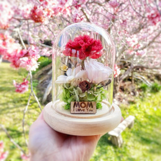 時光之花·永恆心意/母親節禮物/康乃馨永生花/玻璃罩花禮/教師節禮物/永生玫瑰/客製化禮物/花禮訂製/母親節花禮
