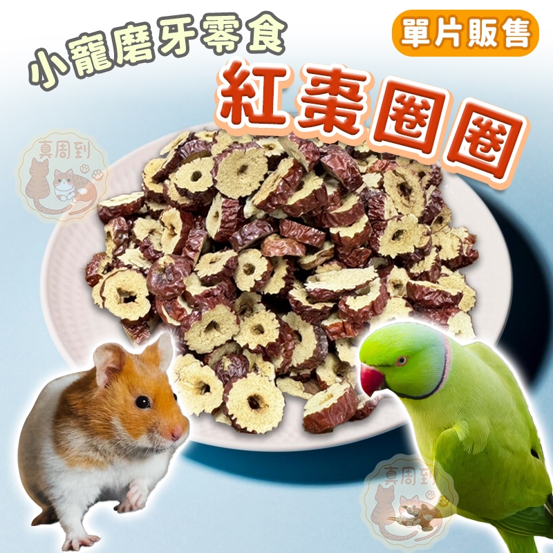 單片售 小寵點心 紅棗圈圈 紅棗 小動物用 磨牙點心 鼠兔磨牙 倉鼠零食 鼠兔零食 鳥用點心 磨牙零食 小寵零食 紅棗片