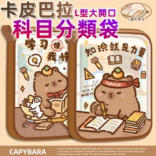🔥免運賣場🔥卡皮巴拉資料袋 防水文件袋 檔案收納袋 網紗文件袋 補習袋 L型資料袋 書本收納袋 科目分類袋 文具收納袋