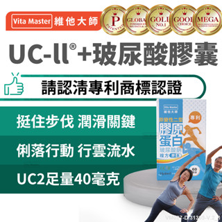 Vita Master 日本進口 UC2 UCII UC-II 加玻尿酸鈉 40毫克 非變性二型膠原蛋白 加維生素D