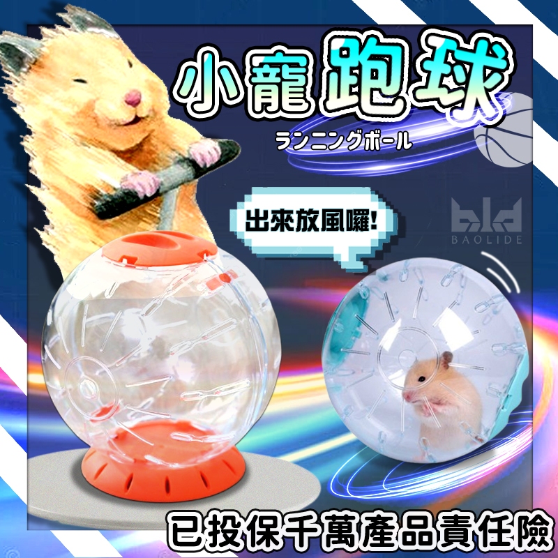 【遛鼠必備 奔跑中的鼠】倉鼠跑球 倉鼠運動跑球 倉鼠滾球 倉鼠運動 倉鼠運動 鼠玩具球 倉鼠用品 倉鼠滾輪 倉鼠球