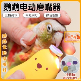 【蝦來購】鸚鵡電動磨嘴器 鳥用磨爪器 打磨指甲 虎皮牡丹 磨喙 磨甲器 電動充電式