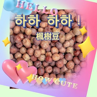 鴿子飼料/寵物鼠/綜合倉鼠飼料/楓樹豆單味600克/1200克