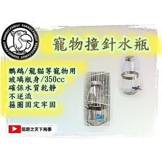 寵物水瓶 鸚鵡撞針瓶 鸚鵡飲水 玻璃水瓶 龍貓水瓶 容量350ml 鸚鵡喝水瓶