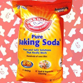 好市多 COSTCO 美國 ARM & HAMMER 小蘇打 蘇打粉 小蘇打粉 烘焙 清潔 除臭 去汙 6.12公斤