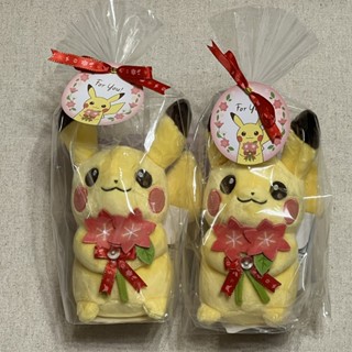 全新現貨 寶可夢中心 For You! 皮卡丘與葛拉西蒂亞花 捧花 花束