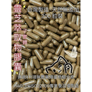 《新港青草大王》靈芝萃取物膠囊300粒（夾鍊袋包裝）靈芝子實體萃取物/臺灣製造👍天然無新增👍