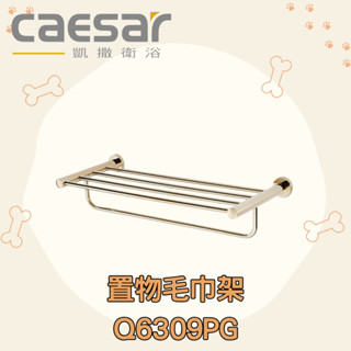 凱撒 CAESAR 置物毛巾架 Q6309PG 毛巾架 置物架 置物平臺