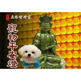【斗六五路財神宮】線上點燈 寵物平安燈