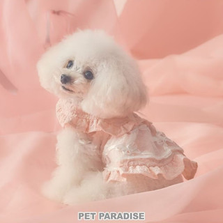 【PET PARADISE】蝴蝶結褶邊領網紗洋裝 (SS/S)｜cherircouture 2025全新系列 質感洋裝