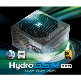 FSP 全漢 電源供應器 Hydro GSM PRO 550W HGS-550M 金牌 半模組 10年保固