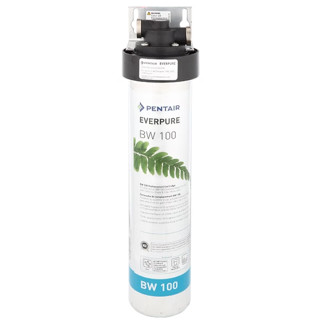 諾得淨水 BW-100 (無底座) 抑垢型 活性碳 複濾膜 廚下 濾芯 EVERPURE 生飲 BW100 淨水器 濾心