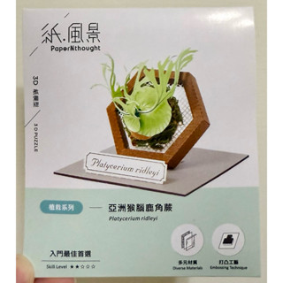 知音 紙風景 3D 亞洲猴腦鹿角蕨 紙模型