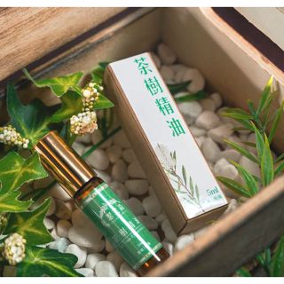 【潔之森】茶樹精油5ml(滾珠瓶/滴瓶) ※附贈花梨擴香木一個◎產地：梅嶺(螢火蟲故鄉)
