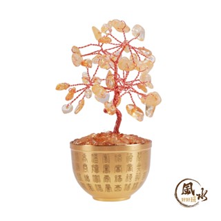 【風水好好玩】聚財氣黃水晶百福開運樹 (招正財/事業運/招財/百福/聚寶盆)