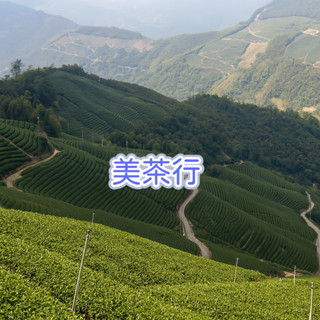 美茶行【手採杉林溪龍鳳峽烏龍茶】★開發票優良賣家★2024手採摘高品質實惠好茶