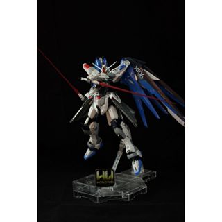［郭宏偉模型工作室］萬代 MG 1/100 自由鋼彈 全機 塗裝 完成品 (實品如圖) 鋼彈 模型