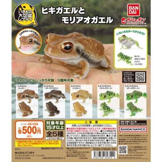 玩具研究中心 現貨 萬代 生物大圖鑑 日本蟾蜍與樹蛙 轉蛋 扭蛋 可動關節 一套五款