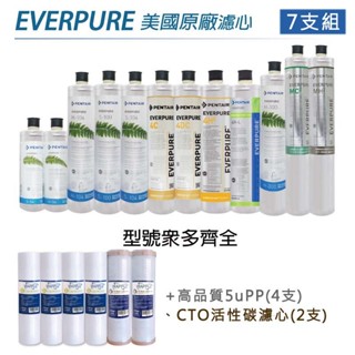 現貨🔥【水蘋果】Everpure 美國原廠平行輸入濾心+高品質前置5uPP濾心+CTO活性碳濾心(共12種型號)7支組