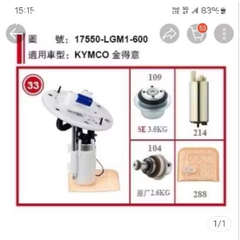 金得意100汽油幫浦，噴射幫浦，噴射總成