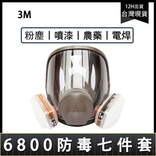 隔日到 3M 6800 防毒面具 防煙面罩 噴漆口罩 防毒面具 防塵面罩 防毒面罩 防塵面具 防毒口罩 打磨 拋光 防塵
