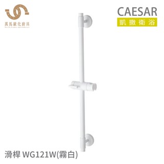 凱撒衛浴 CAESAR WG121W 白色 / WG121B 黑色 浴室滑桿 淋浴滑桿 304不鏽鋼