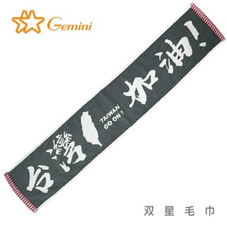 【雙星毛巾Gemini】臺灣加油運動毛巾｜運動毛巾推薦｜臺灣製造MIT｜吸水速乾｜登山 瑜珈 路跑首選