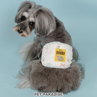 【PET PARADISE】寵物禮貌帶 (4S/3S/SS/S) ｜DISNEY 2025小飛象 公狗禮貌帶尿布