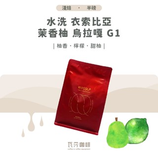 【好評不斷 限時優惠】水洗 衣索比亞 茉香柚 烏拉嘎 G1 兩次手選挑豆 100%阿拉比卡精品咖啡豆