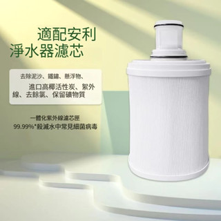 桃園免運 臺灣現出 安麗益之源espring紫外線濾芯-公司貨-AMWAY 淨水器過濾芯 濾除細沙雜質/提升濾心效能安麗
