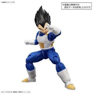 現貨 BANDAI Figure-rise Standard FRS SPEC 七龍珠 貝吉塔 達爾 組裝模型