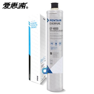 臺灣愛惠浦PENTAIR EVERPURE EF-6000 濕式碳纖活性碳 原廠公司貨盒裝濾芯 EF6000 大大淨水