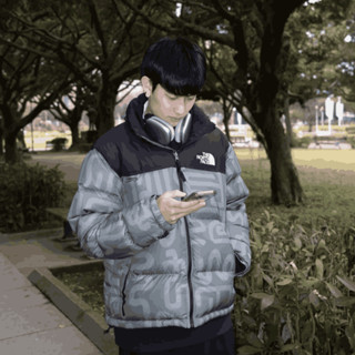 THE NORTH FACE M 1996 JACKET 蛇年 圖騰 男款 防潑水 鵝絨外套-NF0A3C8D