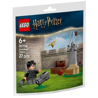 【小人物大世界】LEGO 30706 樂高 polybag 魁地奇球賽課