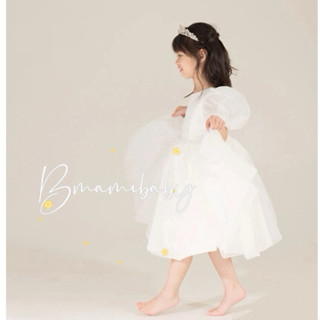 ✨現貨在臺✨韓系 畢業禮服 畢業典禮 艾莎公主 歐根紗 白紗 蛋糕裙 蓬裙 公主裙 禮服 婚紗 洋裝❤️花童 生日