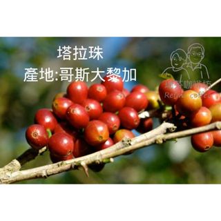 【瑞芬咖啡坊】莊園精選咖啡豆 超誠意每包足227公克以上