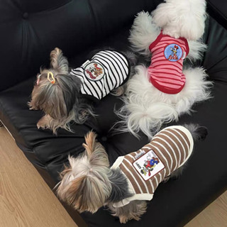 🐶BOBO_PET🐶🚫預購款勿自行下單🚫米奇純棉條紋背心 寵物衣服 狗狗衣服 寵物背心 條紋背心 純棉背心