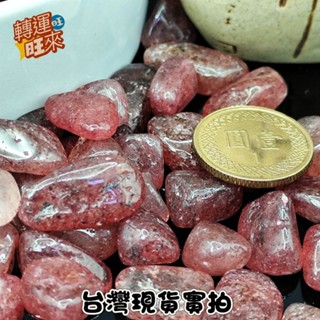 【臺灣現貨】 草莓晶 碎石 水晶 碎石 100g 天然 水晶 碎石 7-9 9-12mm 淨化 消磁 好運 擺設