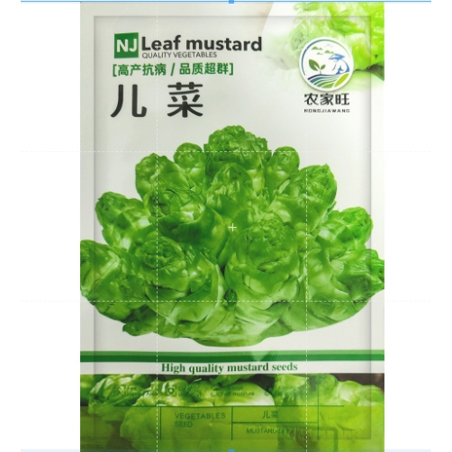兒菜種子🌱（約2000粒）早熟抱子脆嫩胖兒子種子四季盆栽田園蔬菜種子大全四季播娃娃菜抱子芥菜秋季蔬菜種籽早熟易種