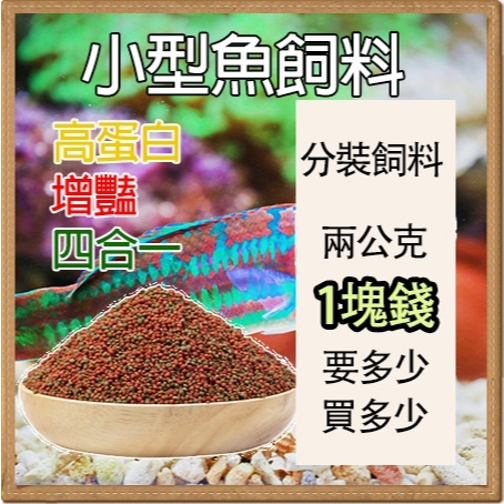 寵物都更所 孔雀魚飼料 小型魚 鬥魚 燈科魚 小型魚飼料 球魚 短雕 慈鯛 神仙 高蛋白 魚飼料 烏龜水龜陸龜守
