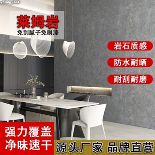 【工匠之選】萊姆巖塗料 藝術漆 室內 微岩石肌理質感免膩子免刷漆家裝首選藝術漆
