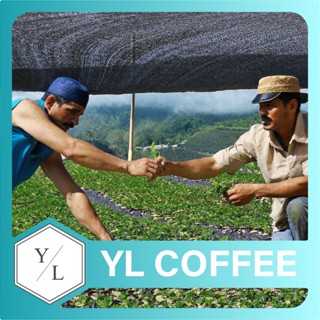 【咖啡友樂】COE莊園茵赫特潘朵拉Pacamara帕卡瑪拉品種︱北屯咖啡豆專賣店︱北屯自家烘焙咖啡豆【淺焙濾掛咖啡推薦】