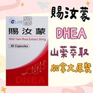 【藥局免運】賜汝蒙膠囊60粒/盒 山藥萃取 DHEA 賜汝蒙