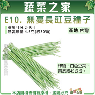 【蔬菜之家滿額免運】E10.無蔓長豇豆種子4.5克(約30顆)(株矮，淺綠色豆莢，莢長約45公分)豆類種子