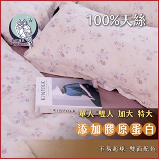 《伯尼寢具》芋泥喵喵 床包兩用被組 天絲60支 tencel 床包 枕套 裸睡 床單 100%萊賽爾纖維 防蟎 膠原蛋白
