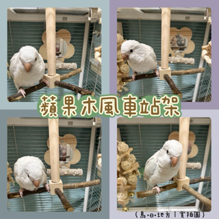 《鳥地方》蘋果木風車站架 可旋轉站架 籠內鸚鵡站架 鳥站架 站桿 站臺 站棒 鸚鵡玩具 鳥用品 中型中小型鸚鵡