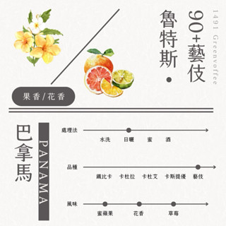 巴拿馬 魯特斯 90+藝伎 日曬 生豆500克 精品咖啡 藝妓/瑰夏 莊園單品咖啡 灰焉生豆
