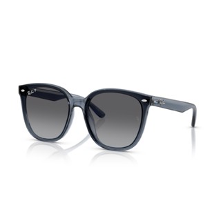 「原廠保固現貨👌」RAY BAN 雷朋 RB4423D 6592T3 偏光 大鏡片 太陽眼鏡 墨鏡
