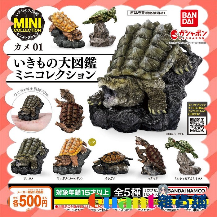 ∮Quant雜貨鋪∮┌日本扭蛋┐ BANDAI 生物大圖鑑-烏龜P1 全5款 含隱藏 大鱷龜 日本石龜 密西西比紅耳龜