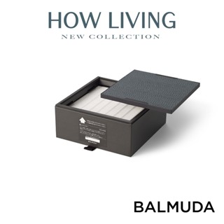 【BALMUDA 百慕達】A01A-P100 P100 專用濾網｜A01D 濾芯 The Pure 空氣清淨機｜公司貨